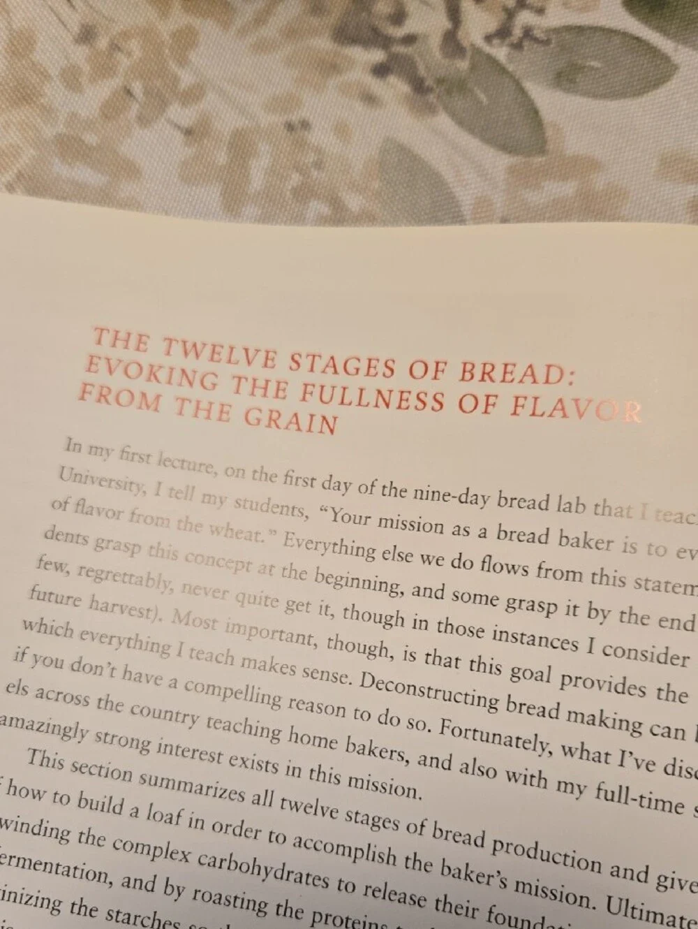 The Bread Baker's Apprentice by Peter Reinhart